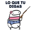 Flork Para Chat Vol2 🙂‍↕️ 21