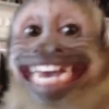 MIQUITOS FOFITOS 8
