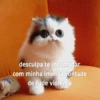desculpa te incomodar com minha imensa vontade de fude violento