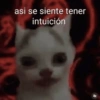 Memes 💢 23