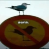 aura.