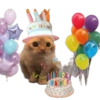 Para el cumpleañer@ 💀 10