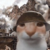 Gatitos. | @ocenferios  Haki. 9