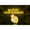BU CİVCİV FEVRİ VE BEBEKSİ