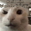 Hani benim iyi geceler öpücüğüm