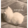 Kucing imoet 7