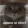 apoco si tilín?