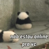 Urso dramático  15