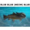 Ball cat 9