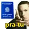 Carteira de Trabalho / CLT 29