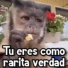 Changuitos🐒🍌 5