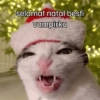 Hewan christmas natal cat 6