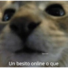 Memes ramdon parte 2  8