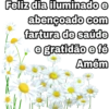 BOM DIA ☀️ 5