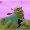 Memes do Shrek 🟢 14