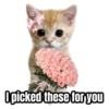 I picked these for you