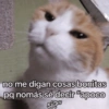 Memes con texto 7🏝️👀 11