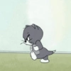 Kucing ngambek 12