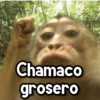 Changuitos🐒🍌 19