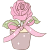Pink 7