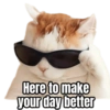Here to make your day better