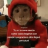 Memes 💢 18