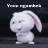 Rabbit Putih 🐰 7