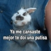 ✔️MEMESITOS QUE NECESITAS 🤭 13