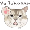 @KiwiBritishCat 6