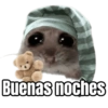 Buenas noches