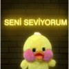 SENİ SEVİYORUM