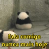 Urso dramático  11