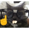 Gatitos😹 11