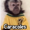 Changuitos🐒🍌 10