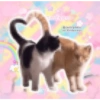 °₊‧꒰ა cutecore pt 3 11