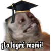 Monitos para graduados 🎓 15