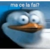 Meme Italiani 19