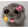 Hamster🎀 7