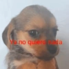 Ya no quiero nada