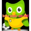 Duolingo 23