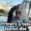 Changuitos🐒🍌 8