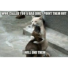 Talking cat 27