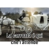 Ziapumba 12