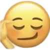 Twitter  28