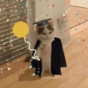 Kucing wisuda 6