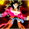 Goku xeno 14