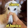 Frases perrunas cool 14
