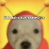 Memes 33 19