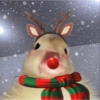 Hewan christmas natal cat 17