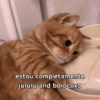 RESPOSTAS RÁPIDAS 11